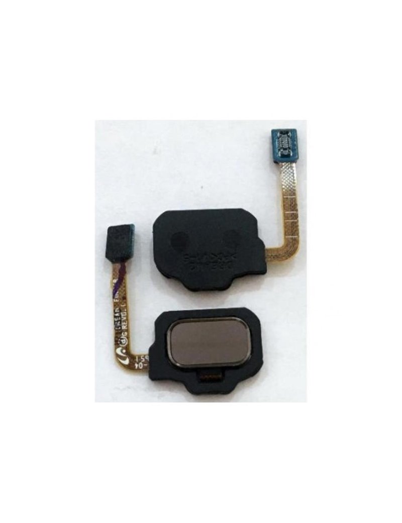 Flex Boton Huella Dactilar Trasero para Samsung Galaxy S8 G950F, S8+ Plus G955F  - Oro