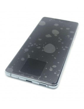 Samsung S20 Lite, S20 FE Fan Edition - Pantalla Completa con Marco - Verde Service Pack
