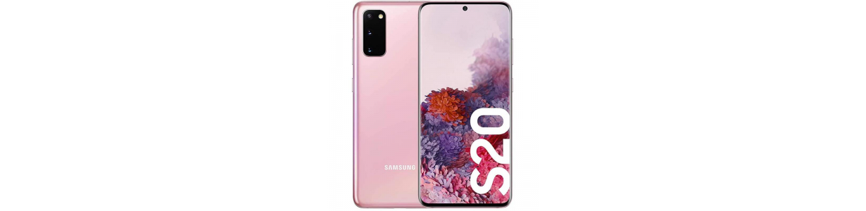 Repuestos Samsung Galaxy S20: Pantalla y más