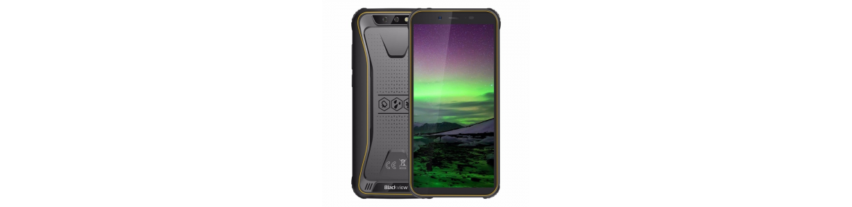 Repuestos Blackview BV5500: Pantalla, Protector