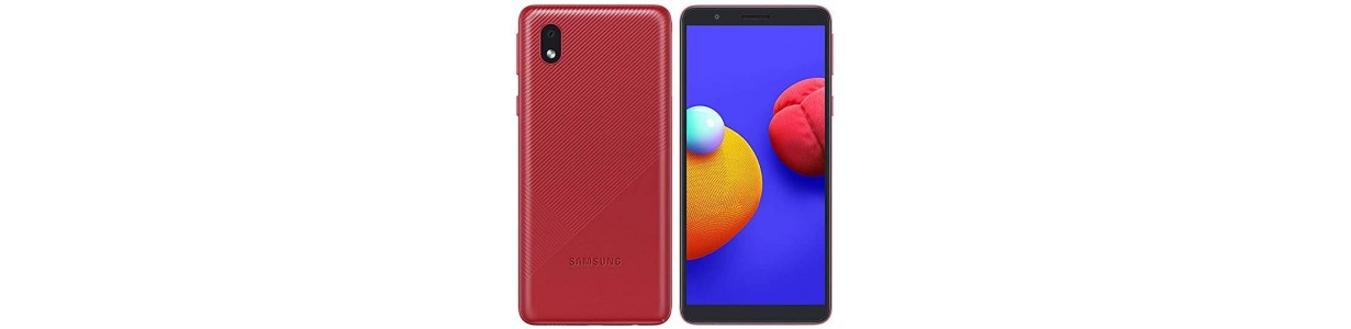 Pantalla Samsung Galaxy A01 Core SM-A013 y Repuestos