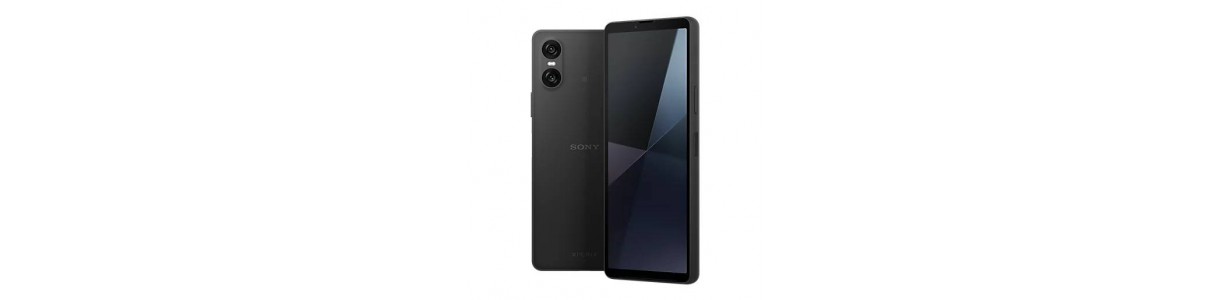 Pantalla del Sony Xperia 10 VI y Recambios