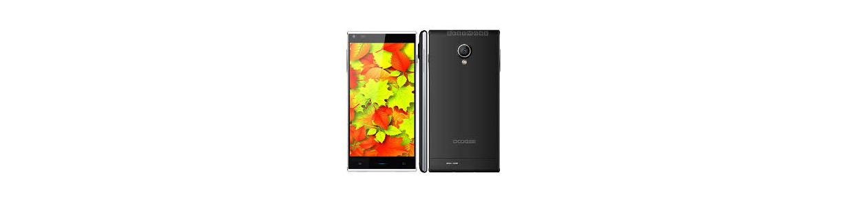 Pantalla Doogee Dagger DG550 Placa Base y Recambios