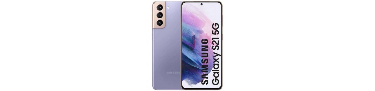 Pantalla Samsung Galaxy S21 5G, SM-G991 y Recambios
