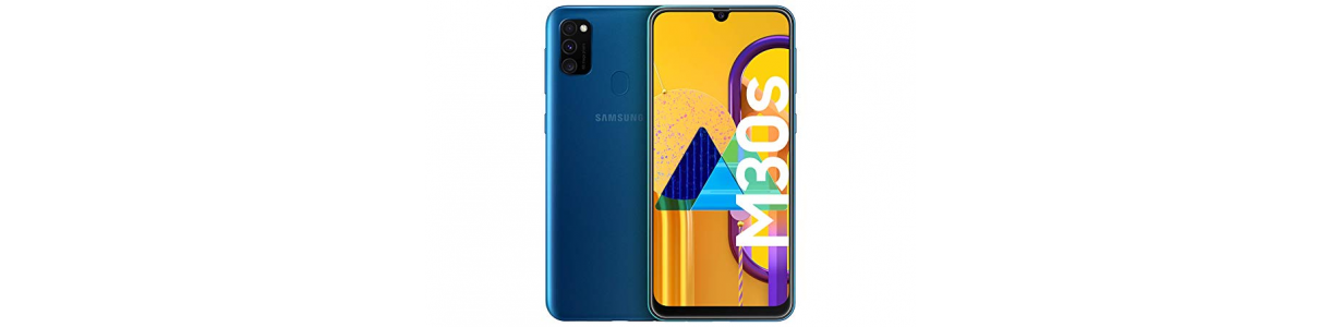 Repuestos Samsung Galaxy M30s: Pantalla y más