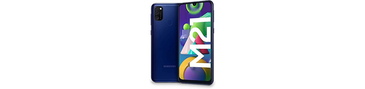 Pantalla del Samsung Galaxy M21 y Recambios