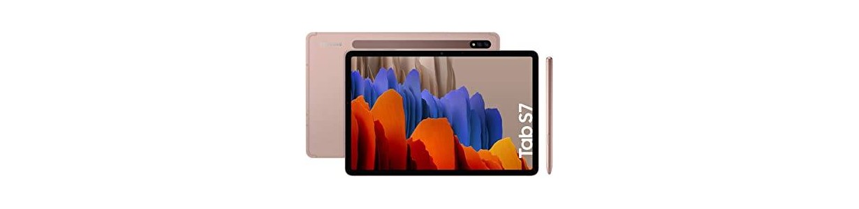 Pantalla Samsung Galaxy Tab S7 11 y Recambios