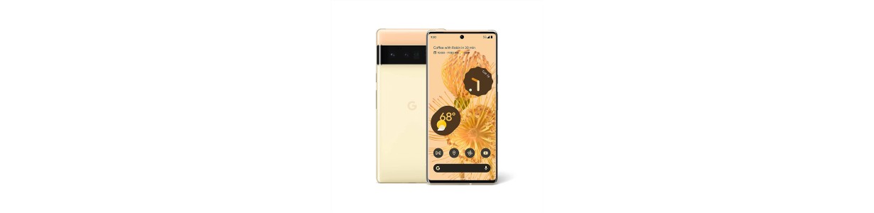 Comprar Pantalla Google Pixel 6 Pro y Repuestos