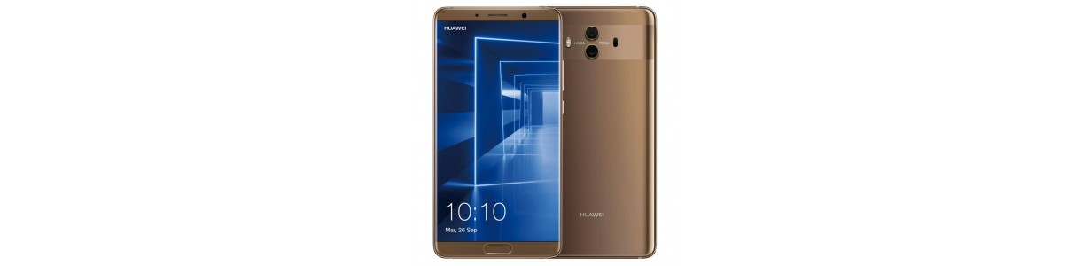 Recambios Huawei Mate 10: Pantalla, Protector