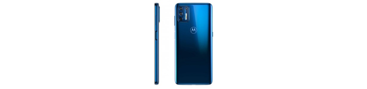 Pantalla del Motorola Moto G9 Plus y Recambios